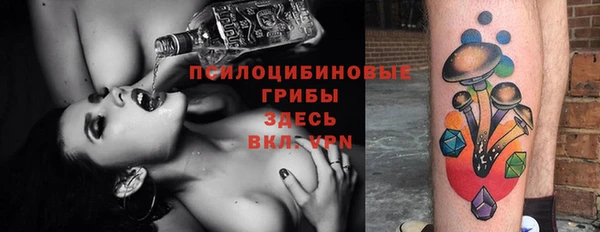 крисы Тында