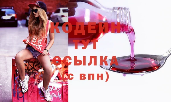 крисы Тында