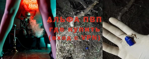 крисы Тында